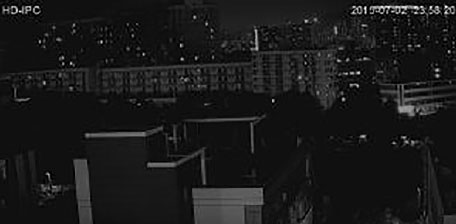 ディ&ナイトカメラのモノクロ映像